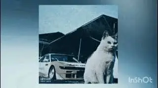 Soviss — Kitty Phonk (BASS)🐱🔊