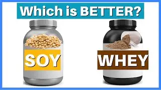 Soy vs Whey Protein Myth on Testosterone & Muscle Building | Which Protein is Better?