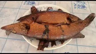 Коптим Окуня и Щучку