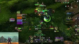 Everbloom M+ 22 | Dragonflight 10.2 | BM Hunter POV