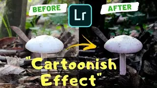 How to Edit in Lightroom mobile|Dark Detail Edit