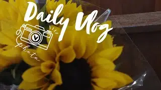 DailyVlog 📸
