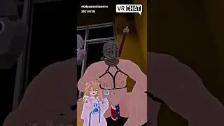 Паладин VRChat #shorts #vrchat #vrgaming #реакция