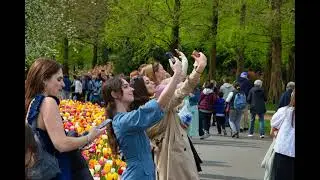 Keukenhof 2024