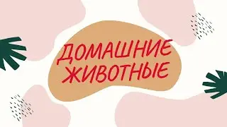 Домашние животные.Развивающее видео для детей.