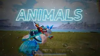 Animals ❤️ | 60 FPS BGMI MONTAGE | OnePlus 9R,9,8T,7T,7,6T,8,N105G,N100,Nord,5T,NeverSettle