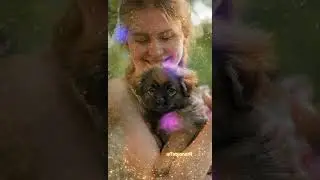 Музыкальная открытка. Чеснокова М. А. Нас тянет не к небу...Читает В. Молчанов. 26 октября.