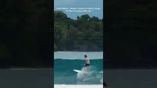 Calypte YouTube SHORT  #surf #surfers #ocean #waves #surfing #travel #beach
