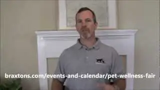 Braxton's Pet Wellness Fair 2012 - Facebook Announcement