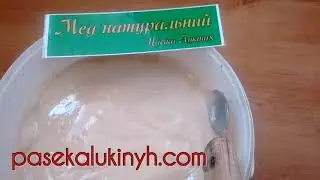 Рапсовый мед ПАСЕКА ЛУКИНЫХ