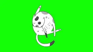 GREEN SCREEN CATS FREE FOR VIDEOS 108 - Green Screen Effects