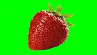 Zoom In Strawberry green screen copyright free