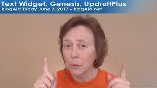 BlogAid Today - Text Widget, Genesis, UpdraftPlus