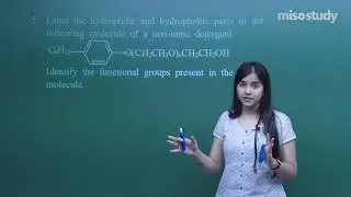 CBSE 11&12th Chemistry | 30. Chemistry in Everyday Life | CBSE Pattern Exercise | In English