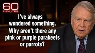 Rejected Andy Rooney Rants found! 