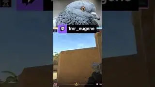 🤍twitch.tv/1mr_eugene💜 #shorts #csgo