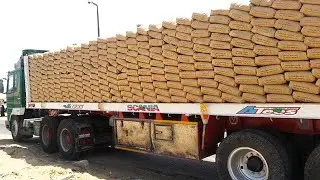 Biggest Drug Busts Caught on Police Dashcam