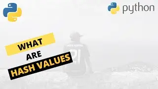 What Are Hash Values ? || Python hash() function