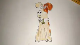 How To Draw Max From The Secret Life