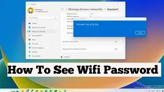 How to see wifi password in windows 11