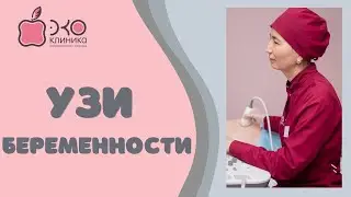 УЗИ при беременности: виды, сроки, особенности