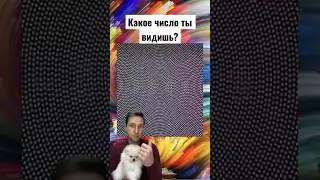 Какое число ты видишь? 🤔🥴🤣