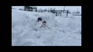 На Сахалине в метель запустили челлендж 