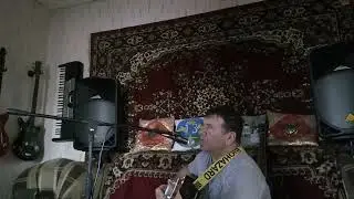 Жизнь похожа на позднюю осень. На гитаре Сакирченко С.В