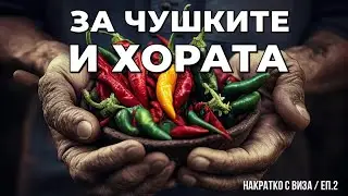 България - там, където честният труд се превръща в обида! НАКРАТКО с Виза Недялкова / епизод 2