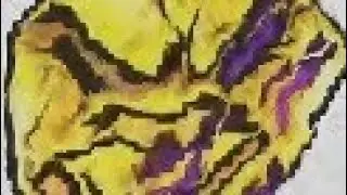 Test deagle 