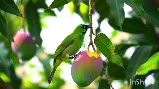 যেসব ব্যক্তিদের কবরে কখনোই আজাব হবে না। 