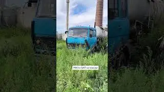 МАЗ и ЗИЛ на пенсии #денсталк #грузовик #automobile #маз #зил
