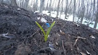The day before the war. The last video from the dugout.