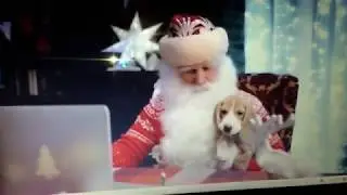 Дед Мороз прислал поздравление с Новым годом!!!!