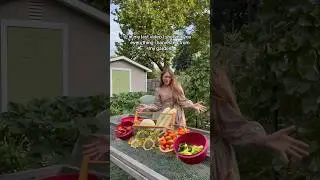 What I Did With My Harvest #backyardhomestead #backyardgardening #growyourownfood #homegrown #garden