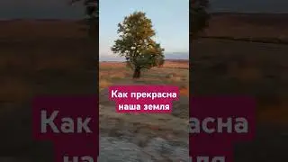 #османовагульнара #красота #фаберлик #наслаждение #земля #родина