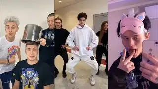 Даня Милохин, Егор Шип, МИМИМИЖКА, Tenderlybae В TIK TOK ! ЛУЧШЕЕ ТИК ТОК!