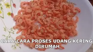 CARA CARA PROSES UDANG KERING SENDIRI | Di jamin bersih dan segar