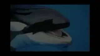 COMUNICACIÓN EN OTRAS ESPECIES ANIMALES