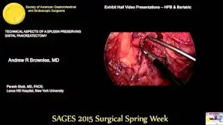 TECHNICAL ASPECTS OF A SPLEEN PRESERVING DISTAL PANCREATECTOMY