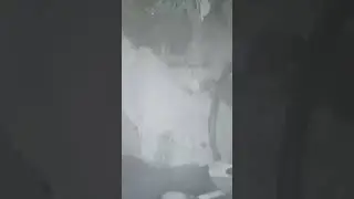 Авария на трассе Норильск-Алыкель. Съёмка с камера видеонаблюдения у водителя.