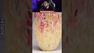 COMO FUNCIONAN LAS COSAS DE CERCA PARTE 2 @UrDay  #shorts #reaccion #viral