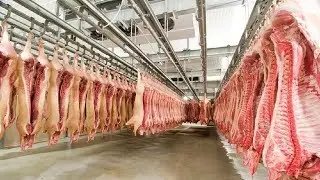 Amazing Modern Sausage Production Factory, Fastest Pork Meat Cutting Processing Technology