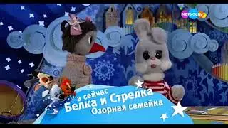 карусель плашка 