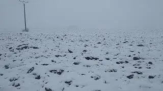 Borová na snehu❄️