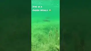 Fisher, where are you? 🐠