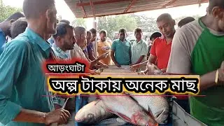 অল্প টাকায় অনেক মাছ || আড়ংঘাটায় পাইকারি মাছের ডাক