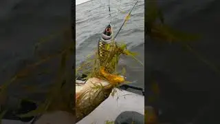 Хотел отпустить - сама ушла 