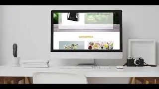 Website Design | Web Designer and developer | WordPress | Shopify