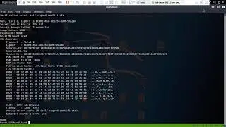 Linux Hacking(ssh private keys, Netcat, Openssl,nmap port scans) | Bandit OverTheWire Levels(14-17)